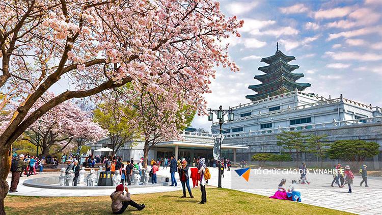 5 ĐIỀU CẦN BIẾT KHI ĐI DU HỌC HÀN QUỐC NĂM 2025