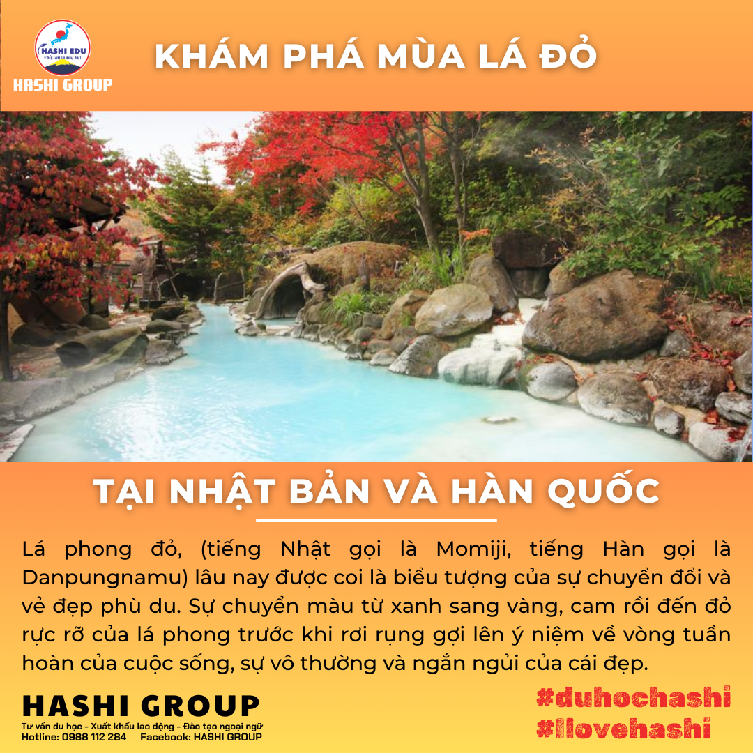 KHÁM PHÁ MÙA LÁ ĐỎ TẠI NHẬT BẢN VÀ HÀN QUỐC