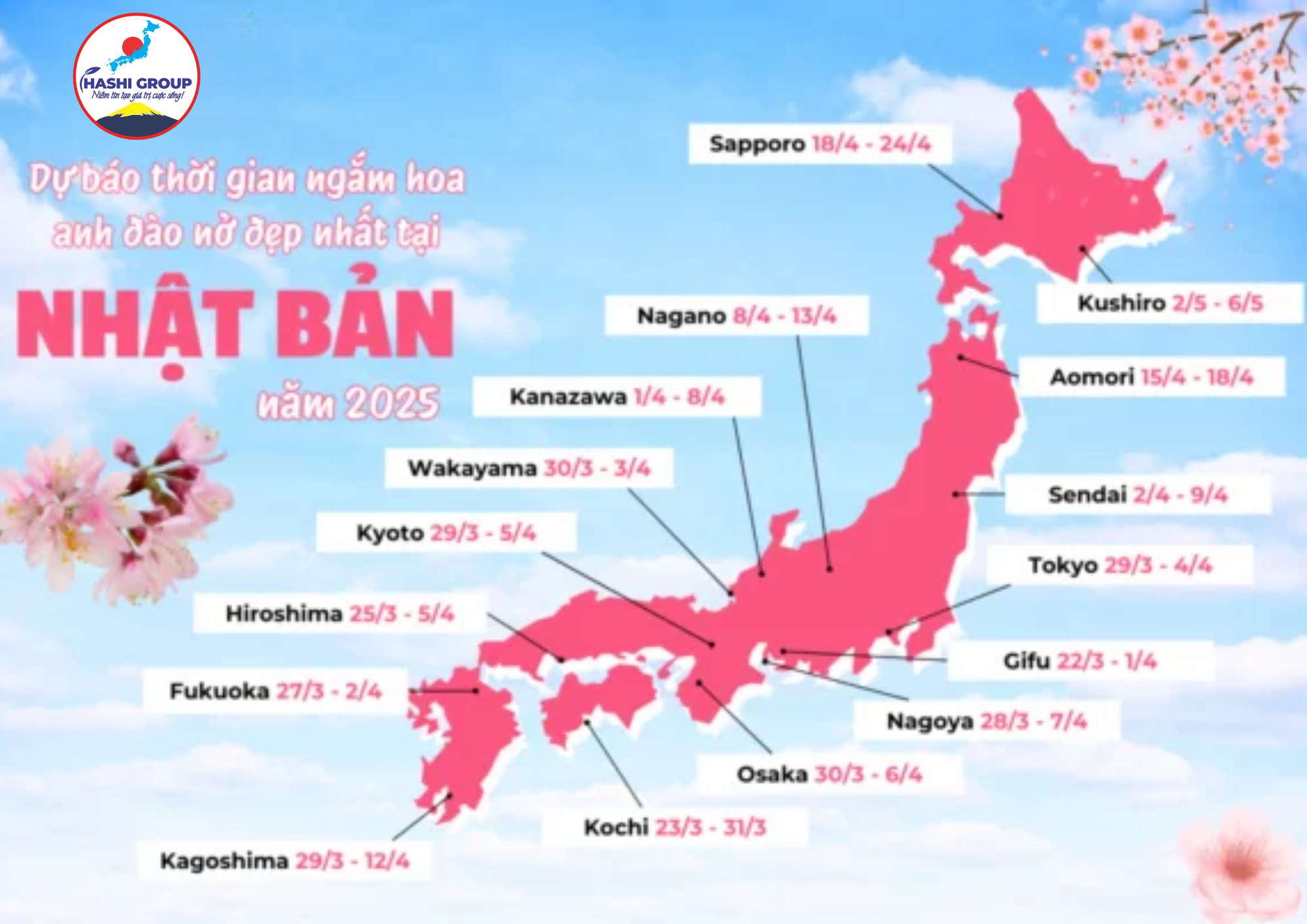 Lịch ngắm hoa anh đào Nhật Bản 2025: Những điều bạn cần biết